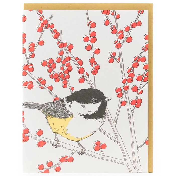 NEW! Nature Bird Series Assorted Box of 8 Cards by Porchlight Press Letterpress