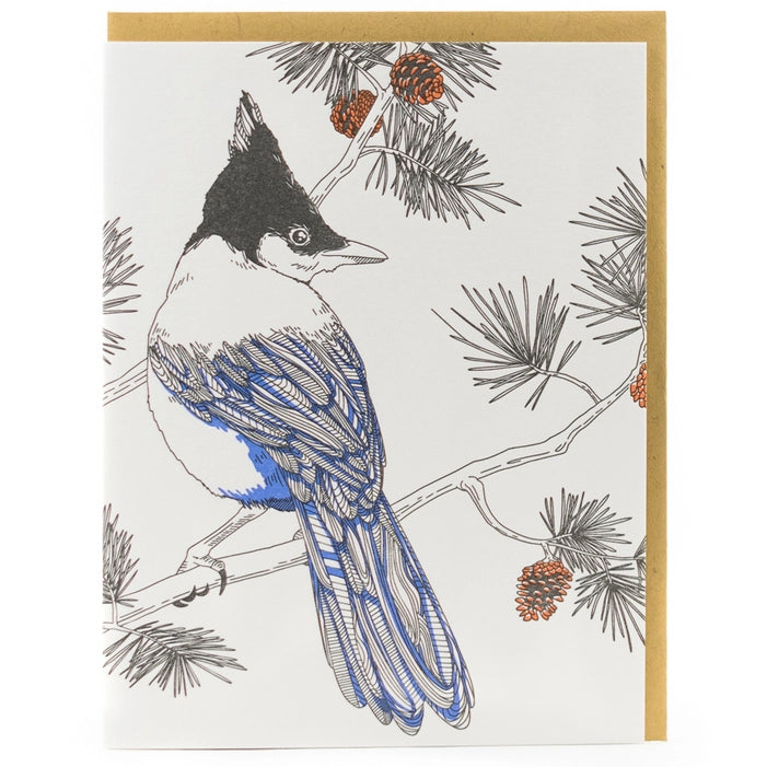 NEW! Nature Bird Series Assorted Box of 8 Cards by Porchlight Press Letterpress