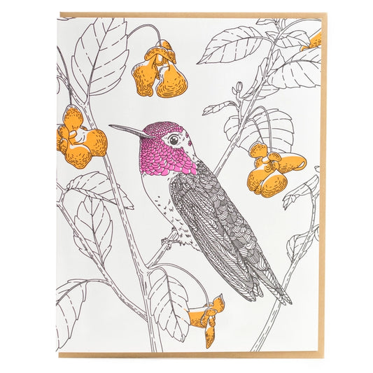 NEW! Anna's Hummingbird Card (Box of 6)  - West Coast Bird by Porchlight Press Letterpress