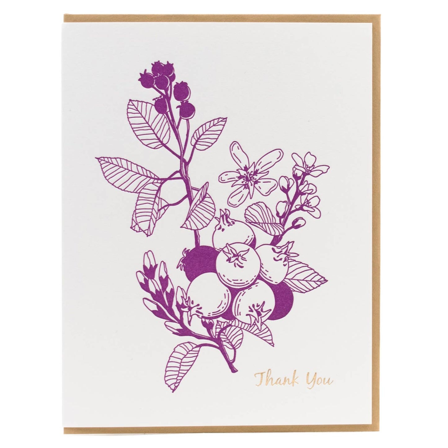 Forest Foraging Saskatoon Berry Gift Card by Porchlight Press Letterpress