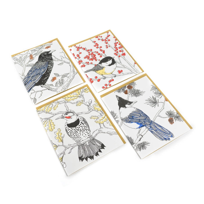 NEW! Nature Bird Series Assorted Box of 8  Cards by Porchlight Press Letterpress