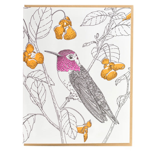 NEW! Anna's Hummingbird Card - West Coast Bird by Porchlight Press Letterpress