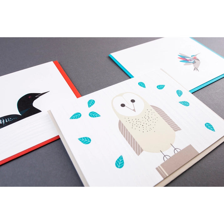 Modern Birds - Assorted Set of 6 Cards with Folder by Porchlight Press Letterpress